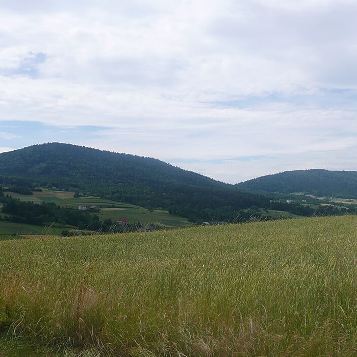 rosochatka